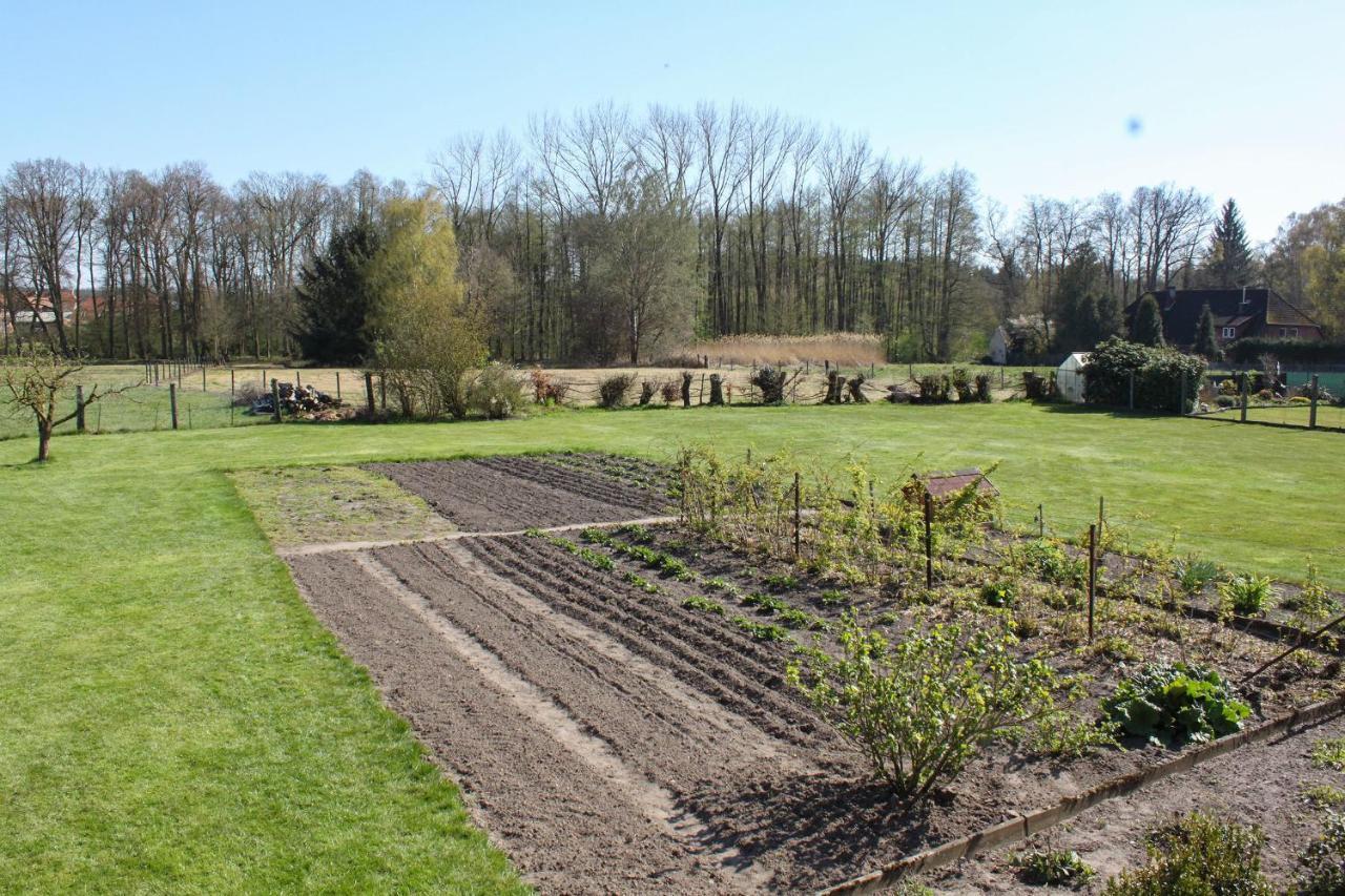 Ferienwohnung Gartenblick - A19374 Suderburg Bagian luar foto