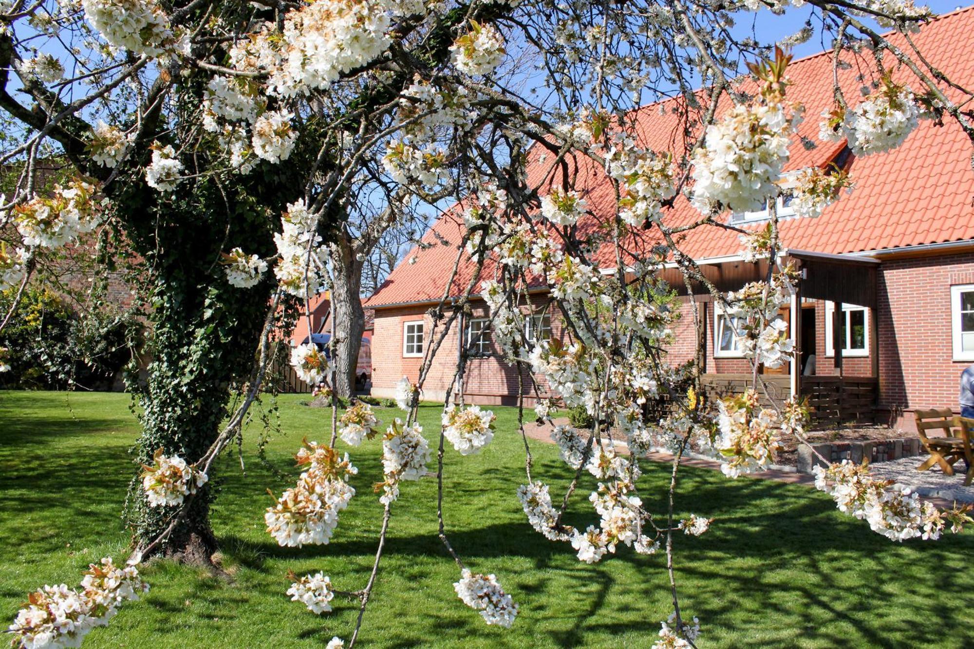 Ferienwohnung Gartenblick - A19374 Suderburg Bagian luar foto